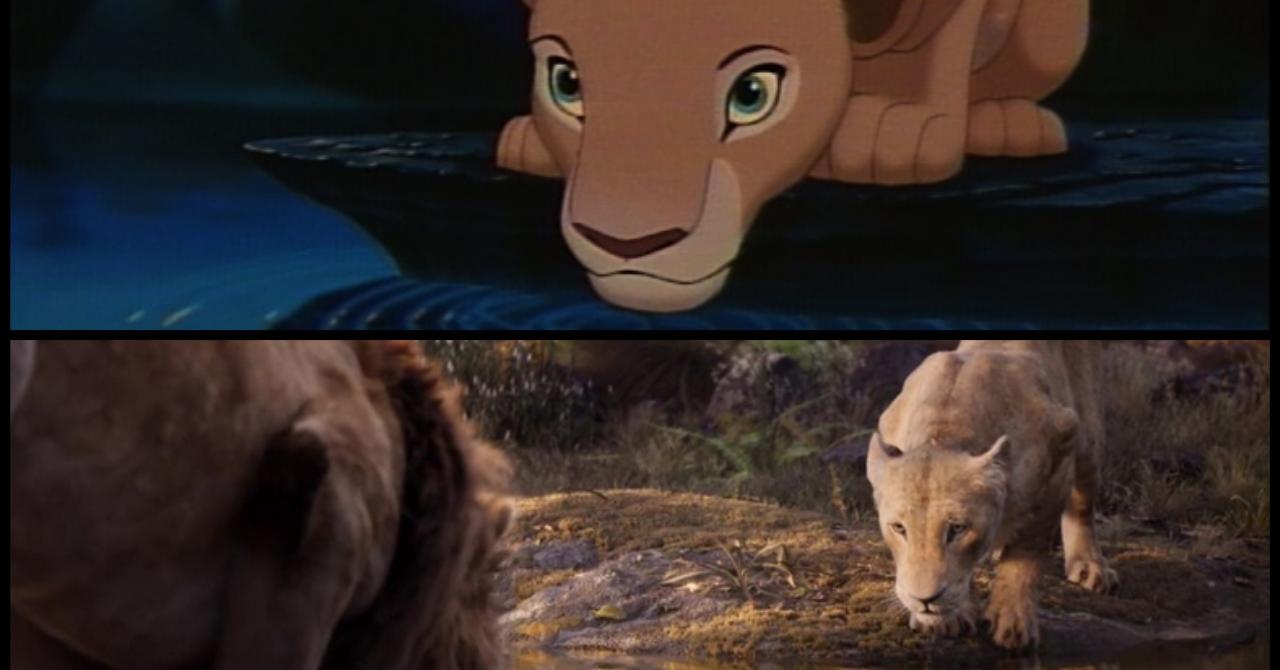Le Roi Lion 1994 vs. 2019 : Nala adulte